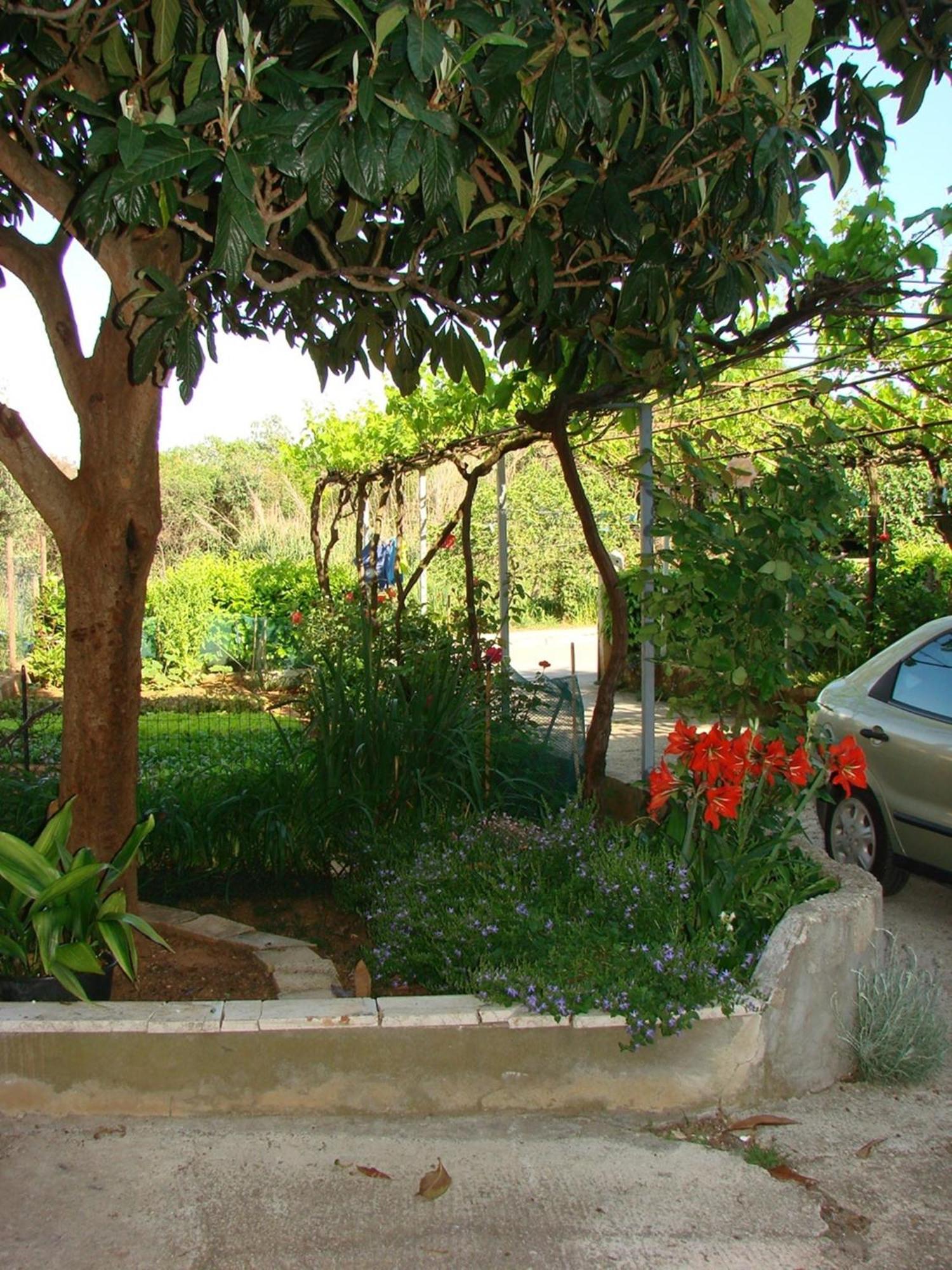 Apartment Milena Pula Bilik gambar